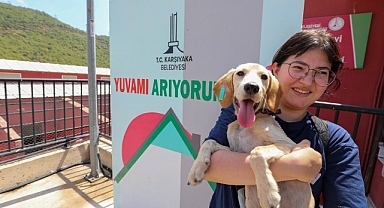 Karşıyaka can dostlara sahip çıkıyor