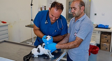 Karşıyaka’da yangından kurtarılan can dostlar emin ellerde