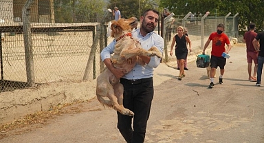 Karşıyaka’nın ciğerleri yanıyor!