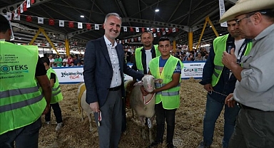 Küçükbaş Hayvancılık Festivali İçin Geri Sayım Başladı