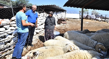 Merasız kalan hayvanlar yem desteğiyle yaşama tutundu Büyükşehir yangından etkilenen köylerin yaralarını sarıyor