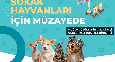 Muğla Büyükşehir Belediyesi tüm geliri sokak hayvanları yararına kullanılacak müzayede düzenliyor.