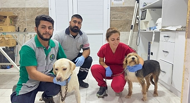 O can dostlara Menemen’de şefkat eli