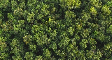 Samsung Electronics 2024 yılı Sürdürülebilirlik Raporunu yayınladı