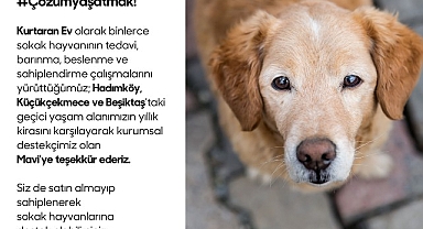 Sokak hayvanları için Kurtaran Ev ve Mavi İş birliği