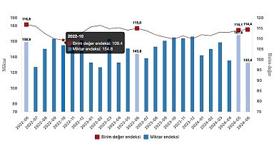 Tüik: İhracat birim değer endeksi %0,6 azaldı