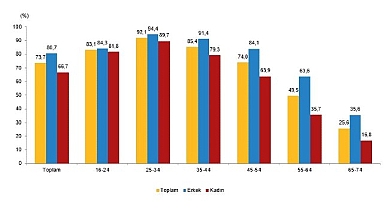 Tüik: İnternet kullanan bireylerin oranı %88,8 oldu