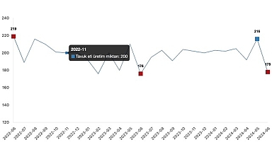 Tüik: Tavuk eti üretimi 177 bin 740 ton, tavuk yumurtası üretimi 1,69 milyar adet olarak gerçekleşti