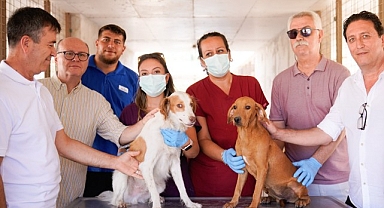 Yangın mağduru hayvanlar PAKO’da güvende
