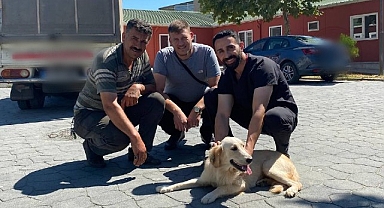 Yeni Yuvalarına Kavuştular