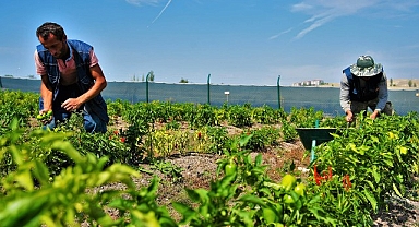 22 ton sebze ve meyve ihtiyaç sahibi ailelerin sofrasına ulaştı.