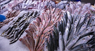 Ağdan Tabağa Güvenle Ulaşan Balıklar Yeni Sezonda da Metro Türkiye’de