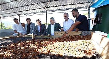 İnegöl’de Hedef 42 Bin Ton Ceviz