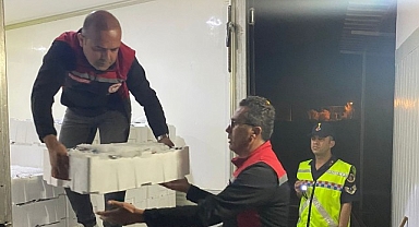 İzmir'de Su Ürünleri Denetimi Gerçekleştirildi: Yasadışı Avlanan 1430 Kg Hamsiye El Konuldu