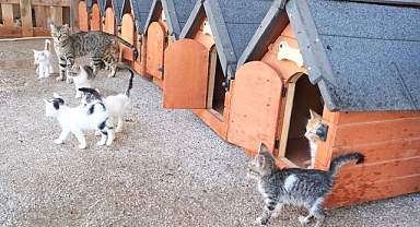 Kemer Belediyesi “Can dostları”nın yanında 