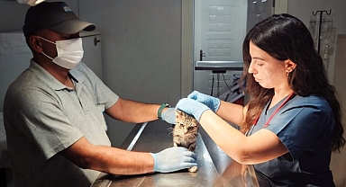 Narlıdere Belediyesi’nde can dostlar için hummalı çalışma.