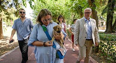 Sahipsiz Köpek Popülasyonu Yönetimi İzmir Eylem Planı hazırlandı