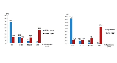 Tüik: İhracatın %43,4'ünü, ithalatın ise %55,5'ini büyük ölçekli girişimler gerçekleştirdi