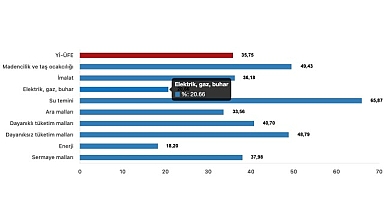 Tüik: Yurt İçi Üretici Fiyat Endeksi (Yİ-ÜFE) yıllık %35,75 arttı, aylık %1,68 arttı