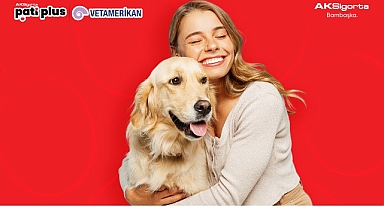 Aksigorta’dan evcil hayvan sahiplerini en iyi anlayan sigorta: Aksigorta Pati Plus VetAmerikan