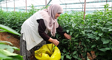 Antalya Büyükşehir Belediyesi'nden üreticilere 2024 yılında 85 milyonluk enerji desteği