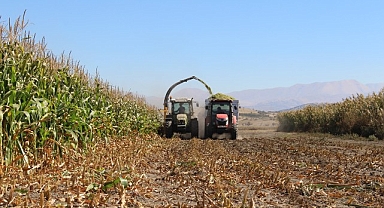 Antalya Büyükşehir Belediyesi tohum desteğiyle üreticilerin yanındaElmalı'da silajlık mısır hasadı yapıldı