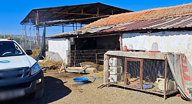 Büyükşehir’den ‘Mavi Dil’ Hastalığına Karşı Mücadele 