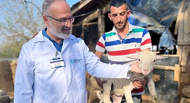 Büyükşehir’in koç desteğiyle 5.400 kuzu doğdu