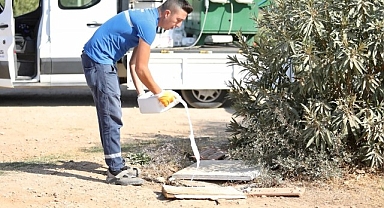 Didim’de ilaçlama çalışmaları aralıksız devam ediyor.