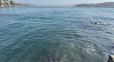 İBB’nin bağlı kuruluşu İstanbul Su ve Kanalizasyon İdaresi (İSKİ), Baltalimanı’nda boğaza atık su akışı olduğu iddialarını yalanladı