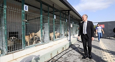 İnegöl’de Sokak Hayvanları İçin Yeni Adımlar Atılıyor