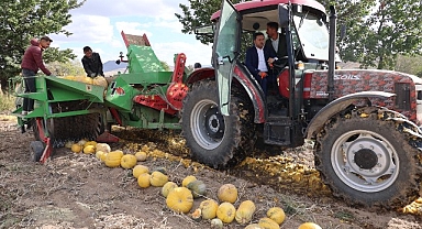 Nevşehir Belediyesi 1. Kabak Çekirdeği Festivali yapıldı.