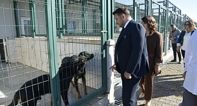 Patili Dostlara Miniklerden Ziyaret