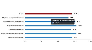 Tüik: Hizmet Üretici Fiyat Endeksi (H-ÜFE) yıllık %56,85 arttı, aylık %1,14 arttı