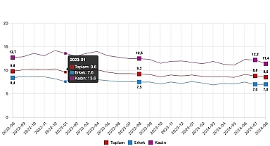 Tüik: Mevsim etkisinden arındırılmış işsizlik oranı %8,5 seviyesinde gerçekleşti