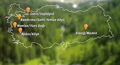 Banvit BRF Ormanları 60 bin ağaca ulaştı