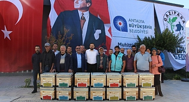 Büyükşehir'den Gazipaşalı arıcılara kovan desteği