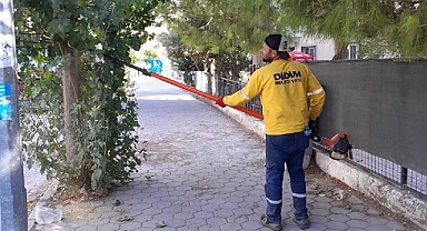 Didim’de Ağaç Budama Çalışmaları Sürüyor