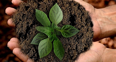 Gedik Yatırım’dan gelecek nesiller için TEMA Vakfı iş birliği ile hatıra ormanı