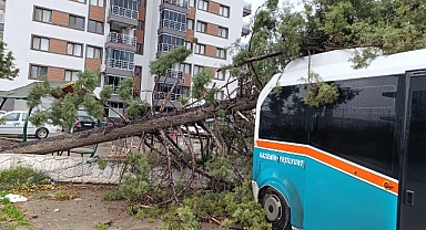 İzmir Büyükşehir Belediyesi 850 personel ve 640 araçla sahada