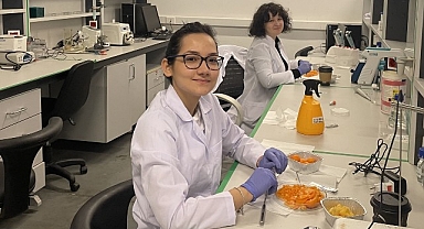 Kamkat meyvesinin özü kanser ilacının etkisini artırıyor