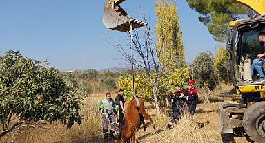 Kemalpaşa Ulucak Mahallesi’nde su kuyusuna düşen yılkı atı, ekiplerin yoğun çalışmaları sonucu kurtarıldı