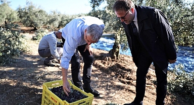 Mudanya Belediyesi zeytin üreticisinin yanında