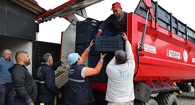 Seferihisar’da Zeytinyağı Sezonu Açıldı