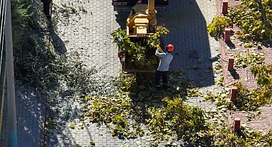 Selçuklu’da Ağaç Budama Çalışmaları Devam Ediyor
