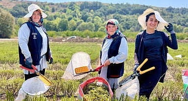 TABİP'te 2024 üretim sezonu tamamlandı