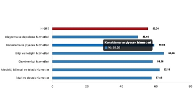 Tüik: Hizmet Üretici Fiyat Endeksi (H-ÜFE) yıllık %55,34 arttı, aylık %0,24 arttı