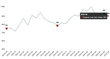 Tüik: Ticari süt işletmelerince 903 bin 509 ton inek sütü toplandı