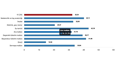 Tüik: Yurt İçi Üretici Fiyat Endeksi (Yİ-ÜFE) yıllık %32,24 arttı, aylık %1,29 arttı