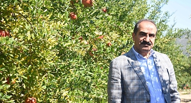 Türkiye’nin 10 aylık nar ihracatı 100 milyon doları aştı